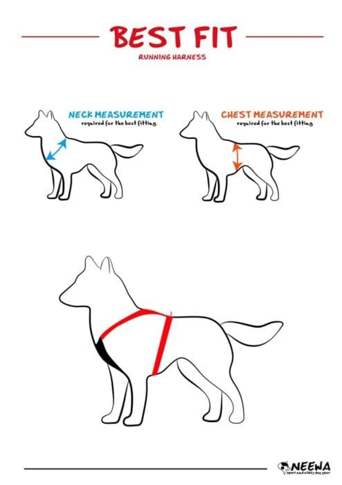 Joggingsele Röd, view: 6