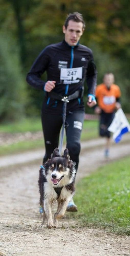 Joggingsele Svart, view: 2