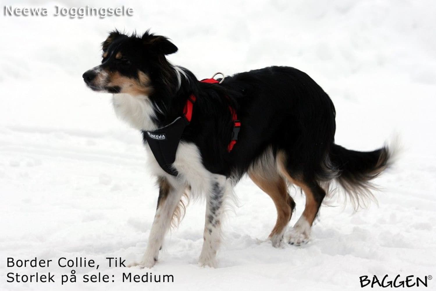 Joggingsele Svart, view: 6