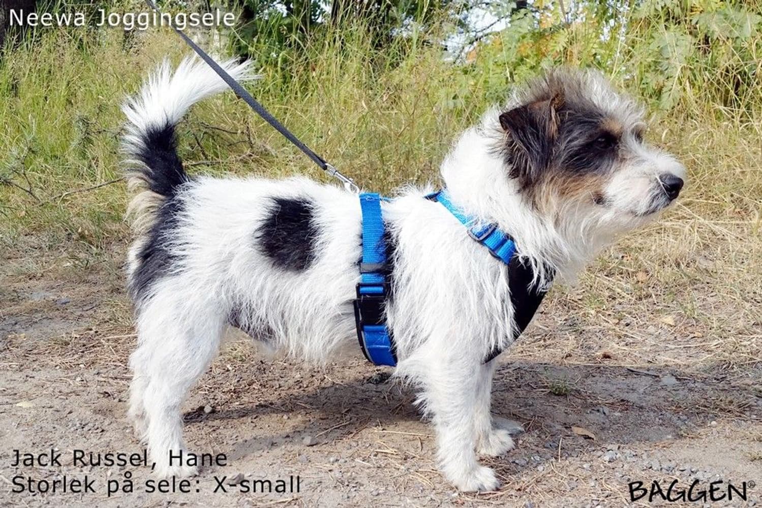 Joggingsele Svart, view: 10