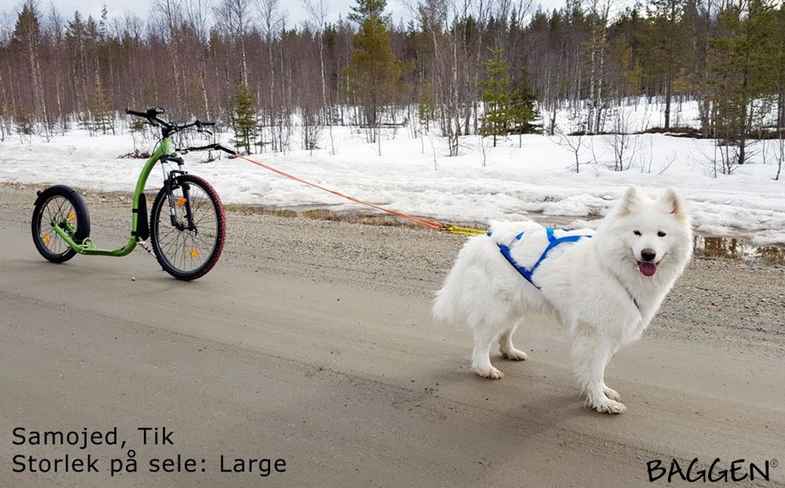 Sled Pro Trekksele Blå, view: 1