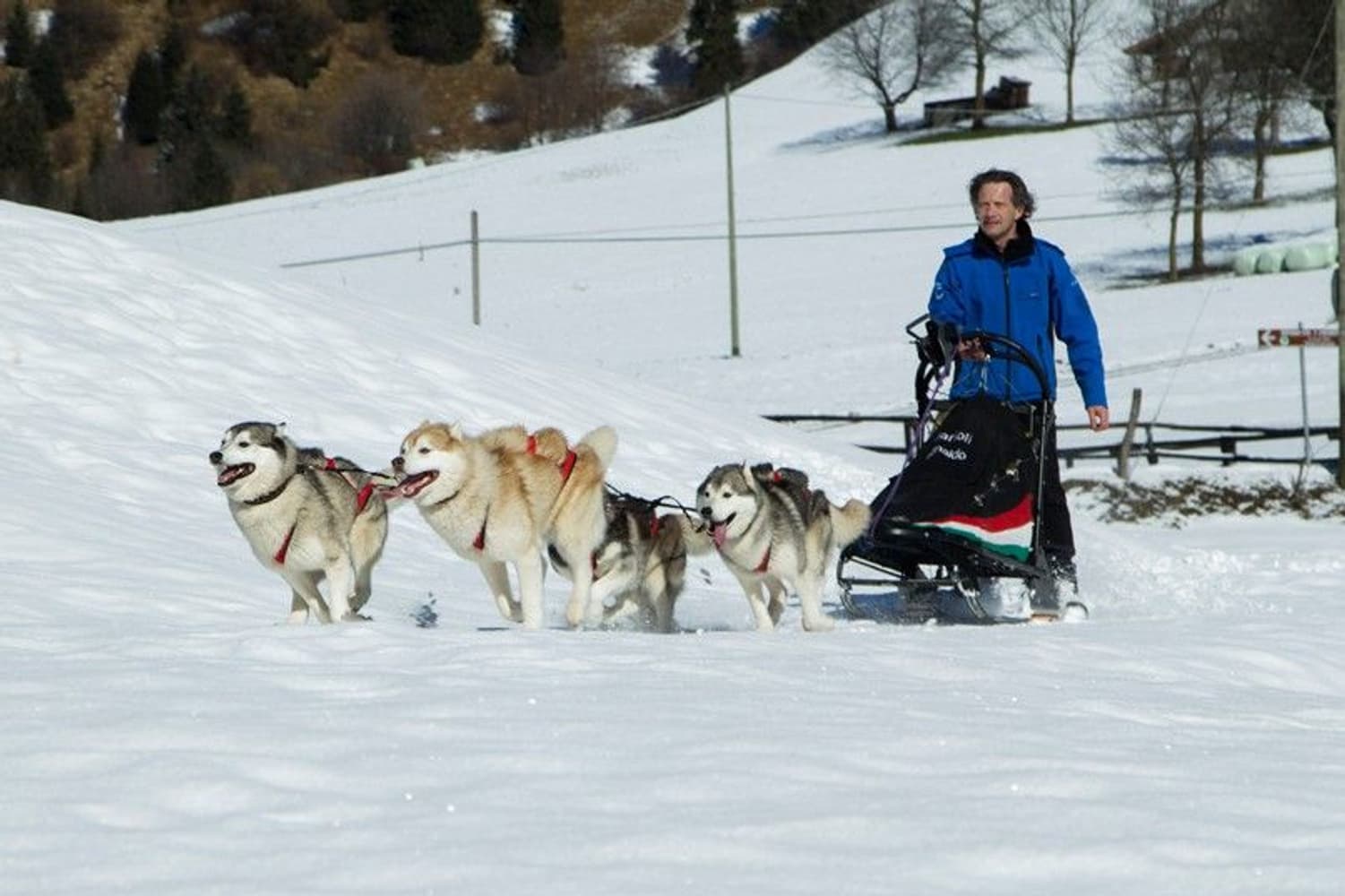 Sled Pro rød trekksele, view: 5