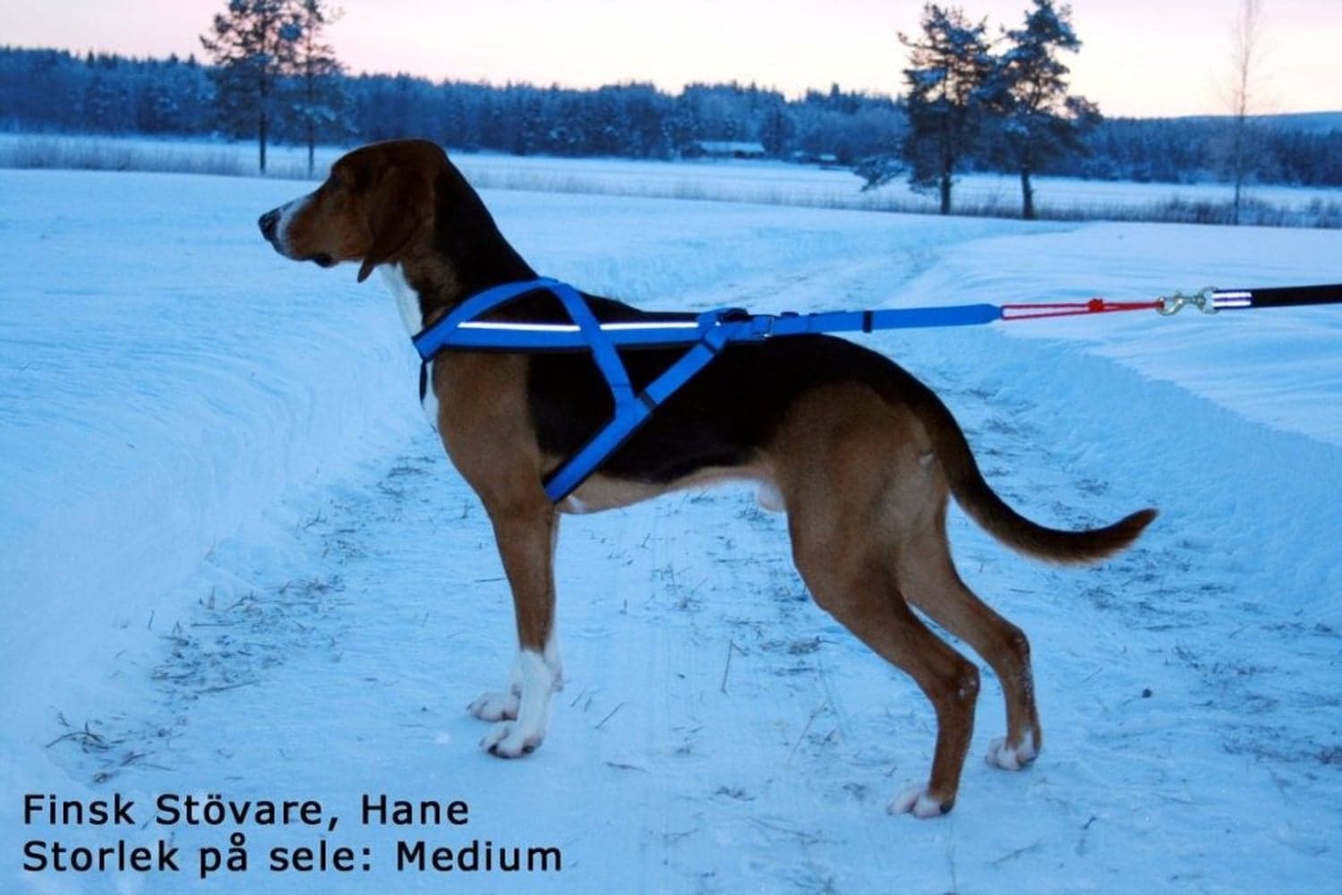 Adjustable Trekksele Blå, view: 6