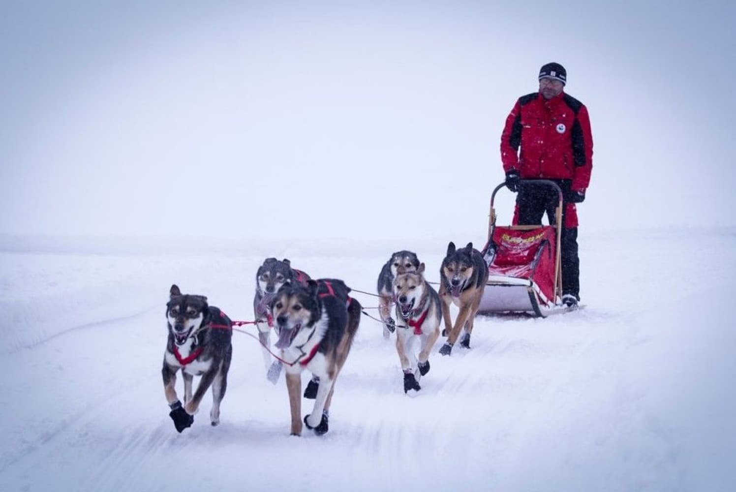 X-Back Racing Trekksele Rød, view: 5