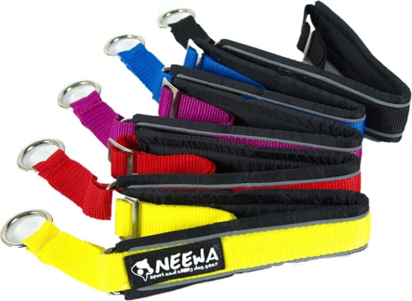 Halvstrup Rød, view: 2