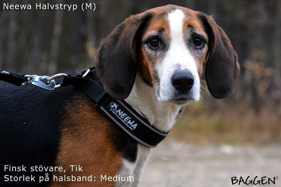 Halvstrup Rød, view: 4