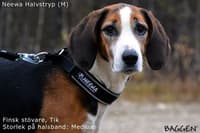 Halvstrup Rød - view: 4