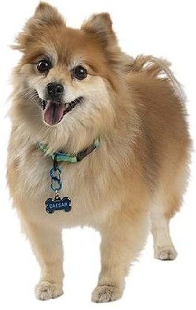 S-Biner TagLock - Black, view: 1