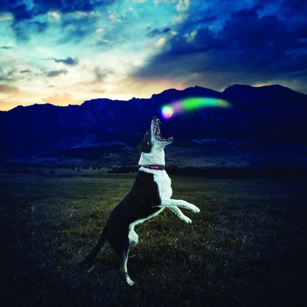 GlowStreak LED Ball - Disc-O, view: 1