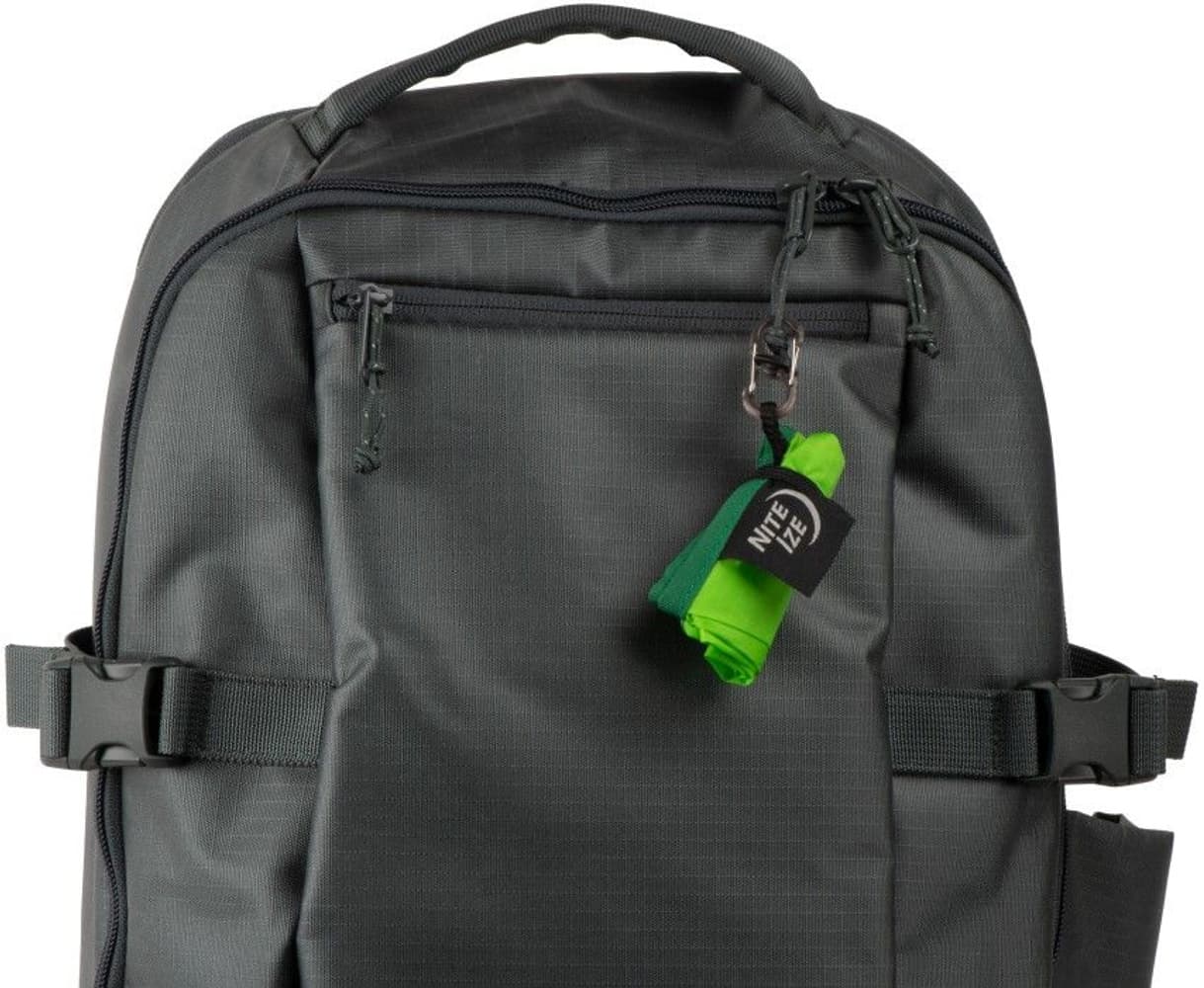 RadDog Collapsible Bowl Lime, view: 3