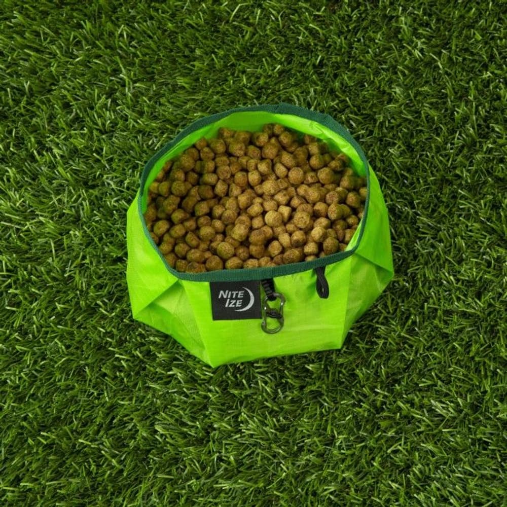 RadDog Collapsible Bowl Lime, view: 4