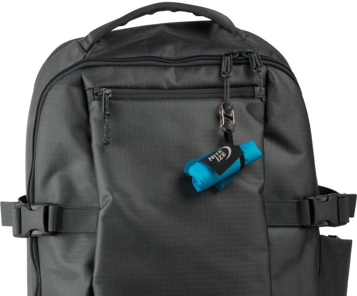 RadDog Collapsible Bowl Blue, view: 3