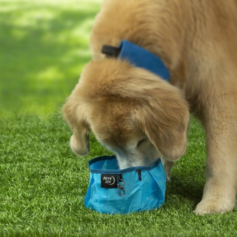 RadDog Collapsible Bowl Blue, view: 5