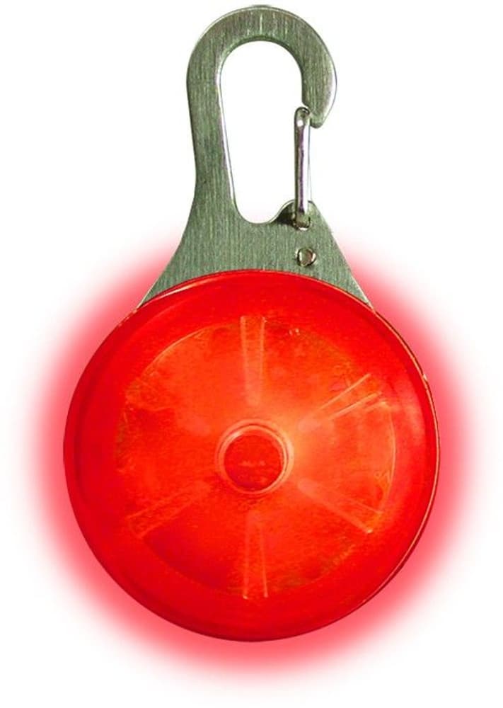 SpotLit LED Carabiner Light Red, view: 0