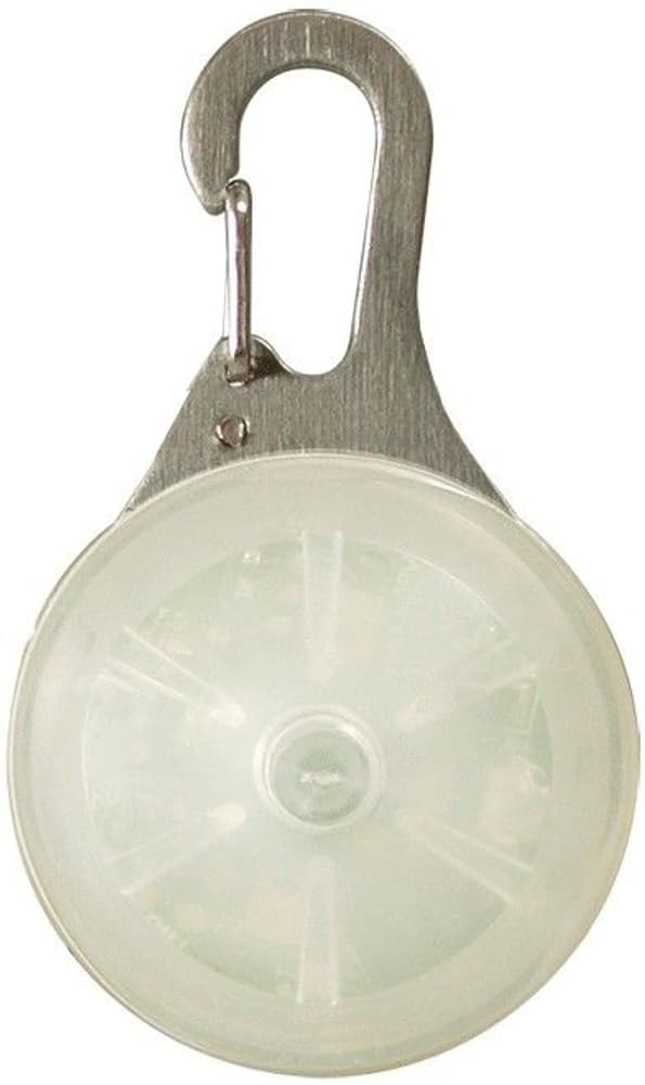 SpotLit LED Carabiner Light White, view: 0