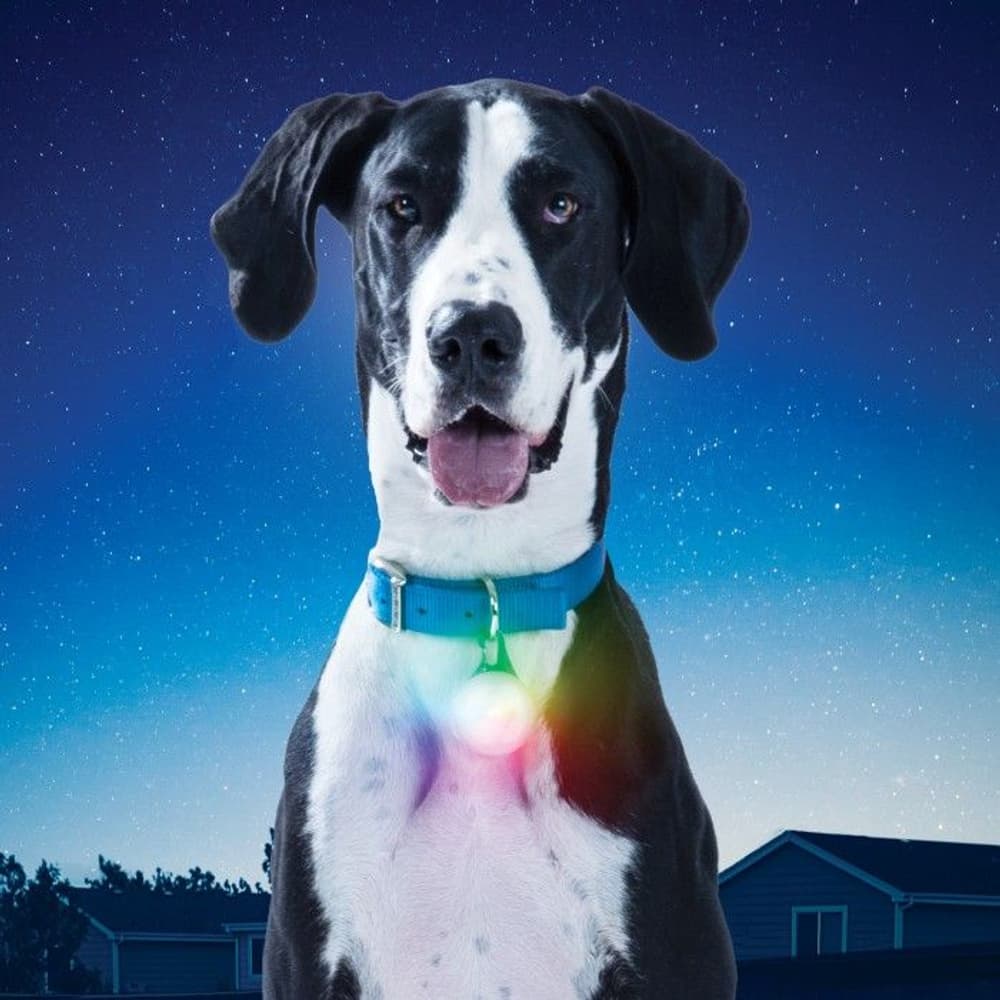 SpotLit XL Rechargeable Collar Light - Disc-O Select, view: 5