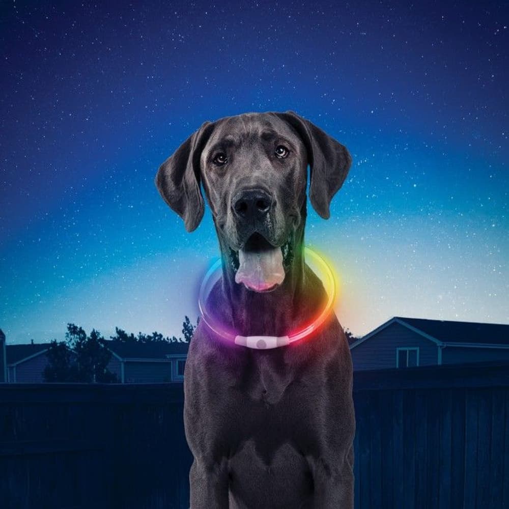 NiteHowl LED Rechargeable Safety Necklace - Disc-O Select, view: 3