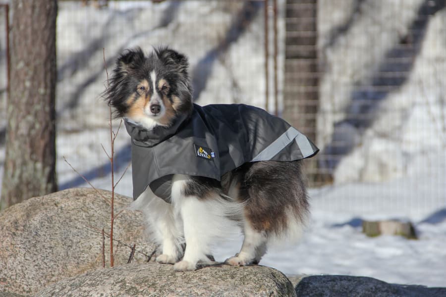 Niva Dog Raincoat Rock 35 cm, view: 6