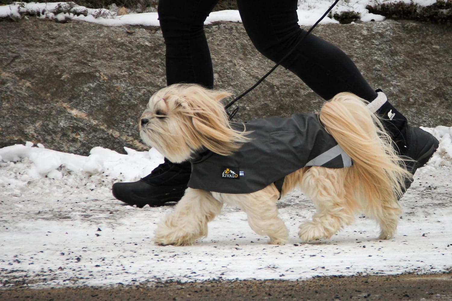 Niva Dog Raincoat Rock 35 cm, view: 7