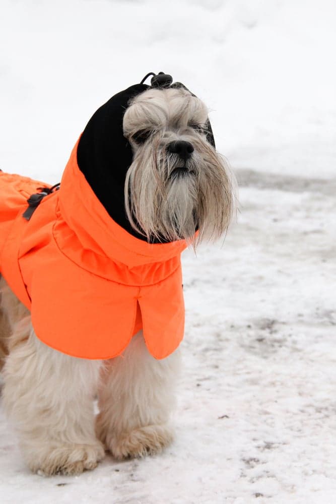 Ohto Dog Wind Jacket Grid 60 cm, view: 7