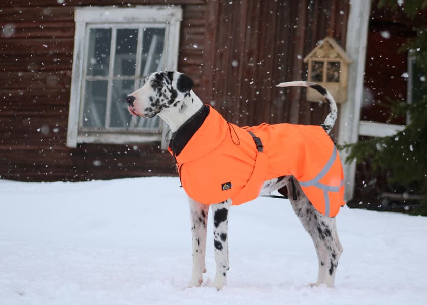Ohto Dog Wind Jacket Grid 60 cm, view: 4