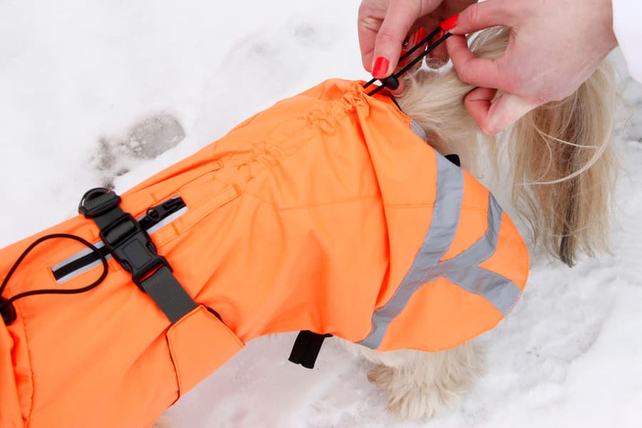 Ohto Dog Wind Jacket Grid 60 cm, view: 8