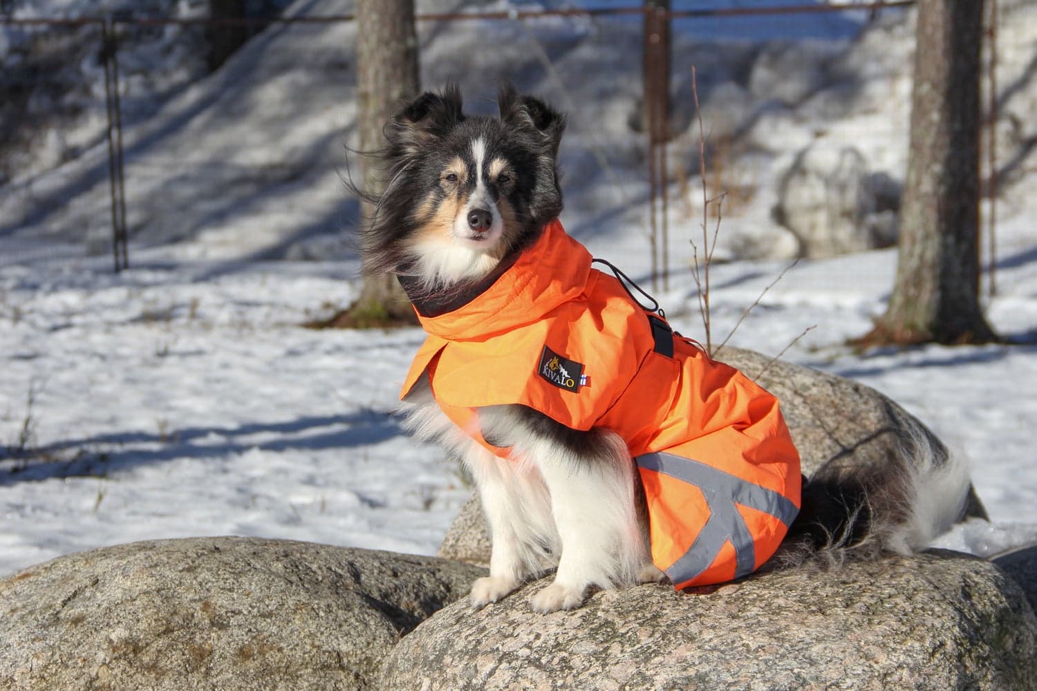 Ohto Dog Wind Jacket Grid 60 cm, view: 6
