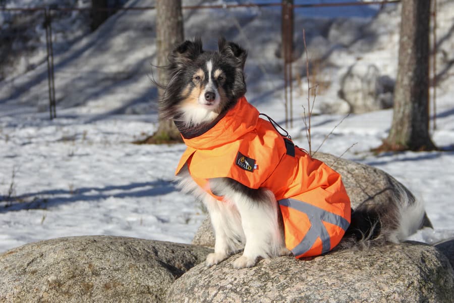 Ohto Dog Wind Jacket Grid 35 cm, view: 6