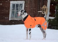 Ohto Dog Wind Jacket Grid 45 cm - view: 4