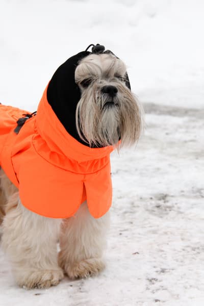 Ohto Dog Wind Jacket Grid 55 cm, view: 7