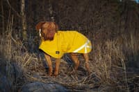 Niva Dog Raincoat Buttercup 40 cm - view: 3