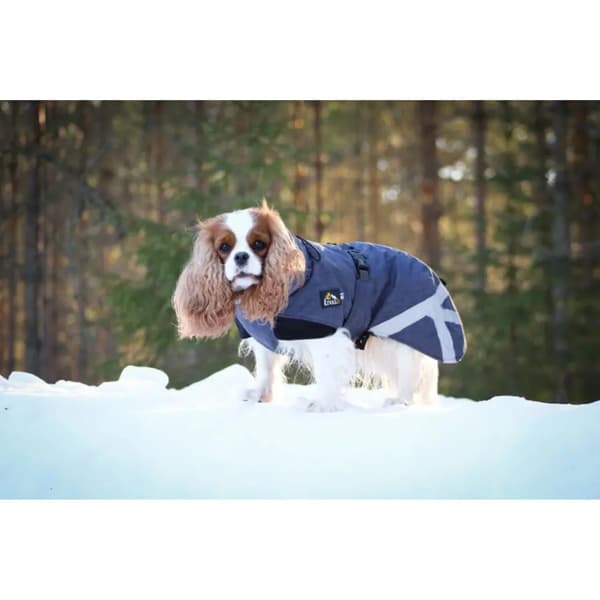 Luosto Dog Winter Jacket 35 cm Coil, view: 6