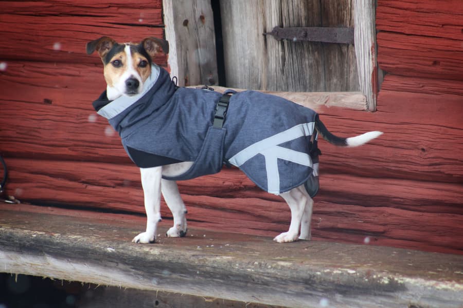 Luosto Dog Winter Jacket 45 cm Coil, view: 5