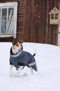 Luosto Dog Winter Jacket 45 cm Coil - view: 4