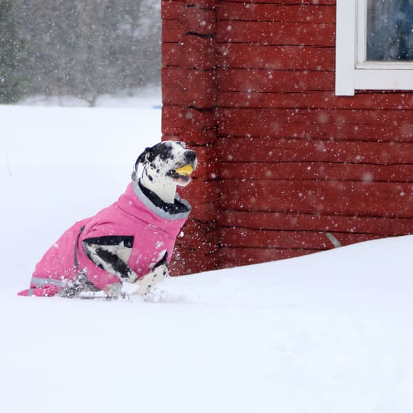 Luosto Dog Winter Jacket 55 cm Pink, view: 5