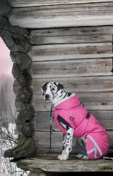 Luosto Dog Winter Jacket 55 cm Pink, view: 6