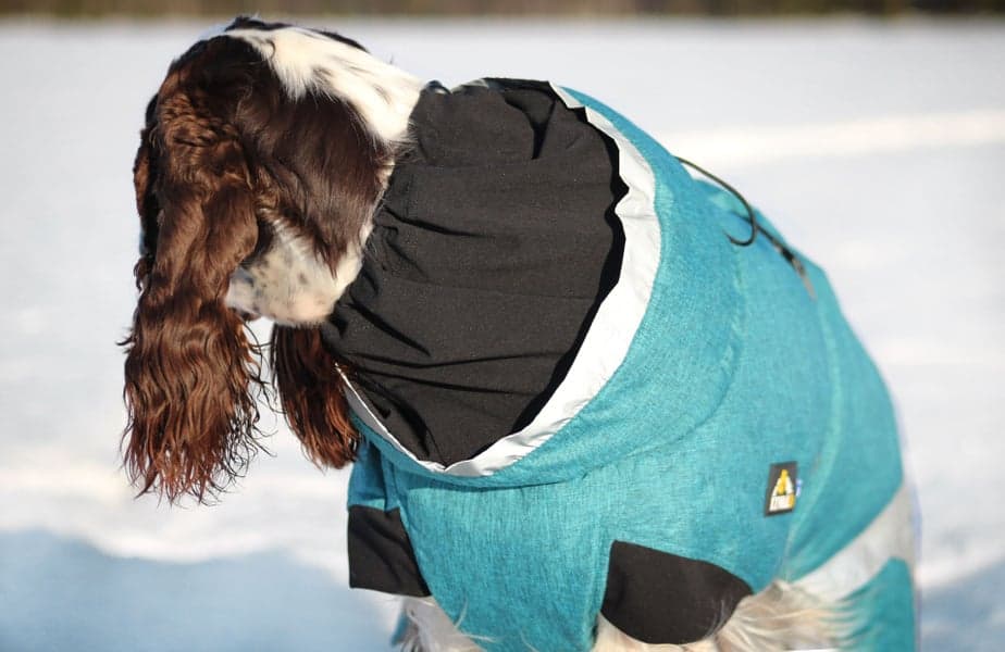 Luosto Dog Winter Jacket 40 cm Stream, view: 7