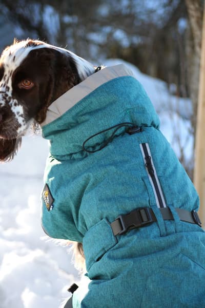 Luosto Dog Winter Jacket 50 cm Stream, view: 6