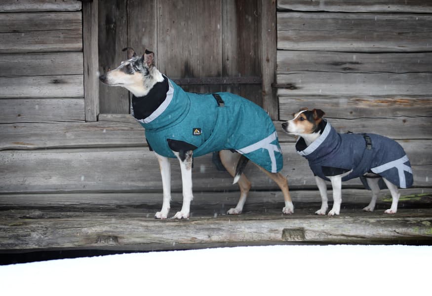 Luosto Dog Winter Jacket 45 cm Stream, view: 5