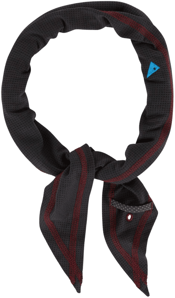 Allvis Scarf SS24 Raven, view: 1