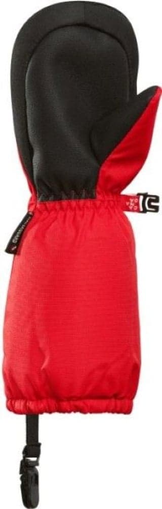 M's Wooly Best Friend Map Leaf Red, view: 1