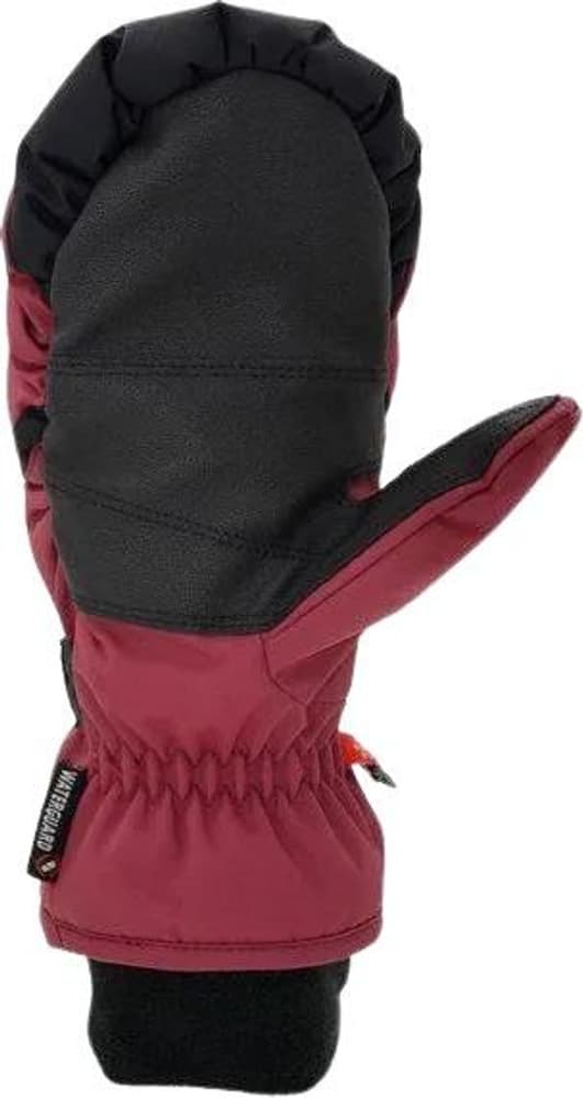 W's Spooky Waterguard 2.0 Mitt Rosewood Red, view: 2