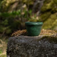 Suova 20 Green - view: 2