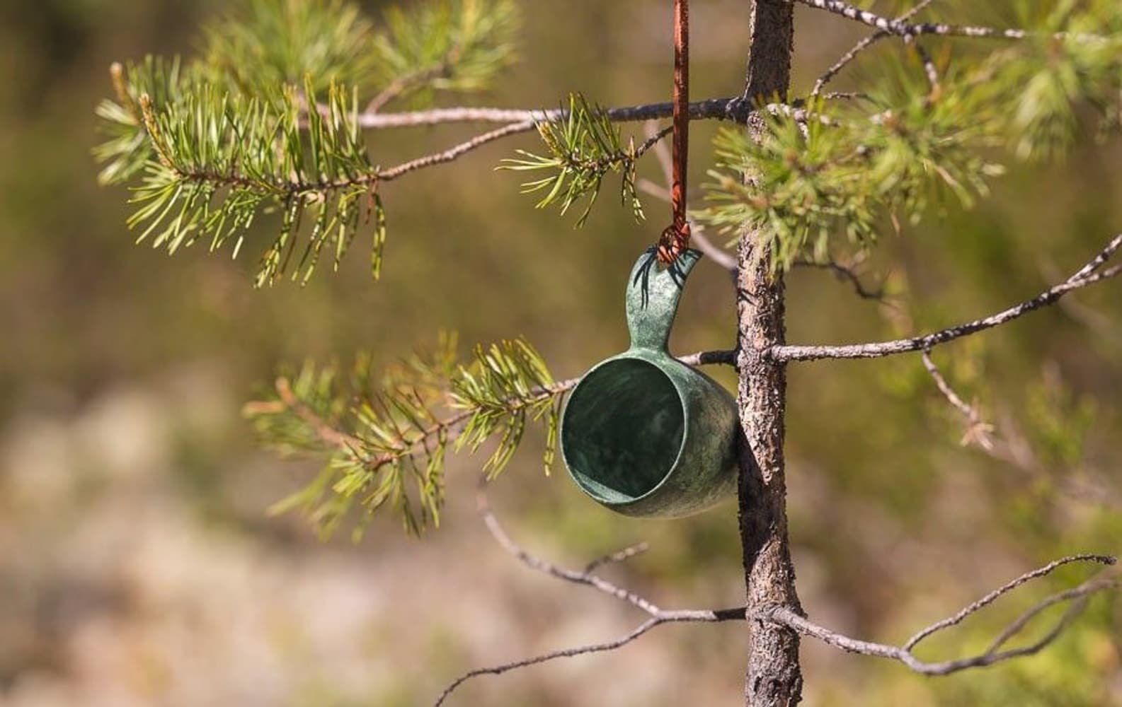 5 cl Grønn, view: 4