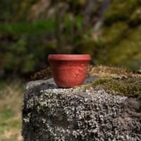 Suova 20 Red - view: 2