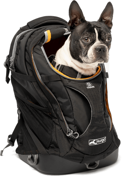 G Train K9 Pack Black, view: 0