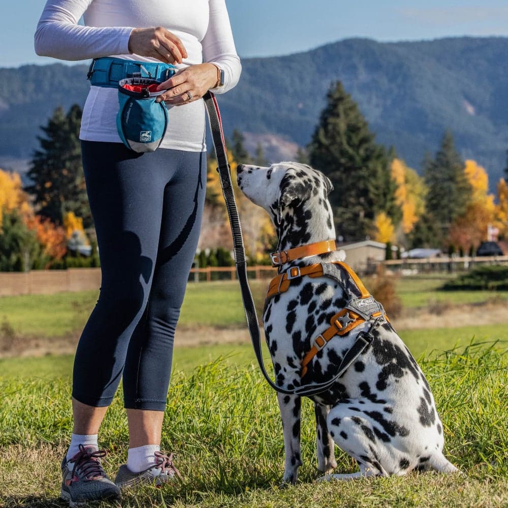 Go Stuff It Treat Bag Navy, view: 4