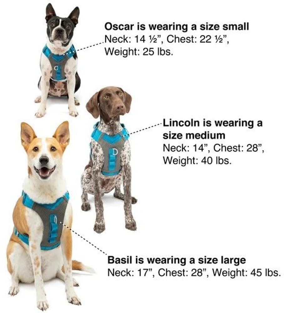 Journey Air Harness Orange, view: 7