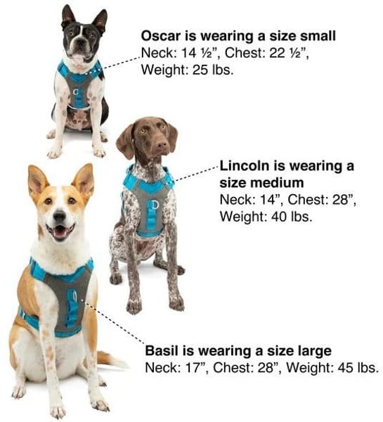 Journey Air Harness Orange, view: 7