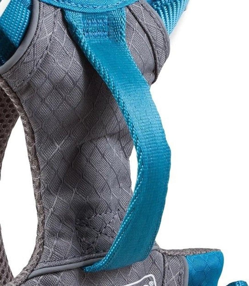 Journey Air Harness Purple, view: 4